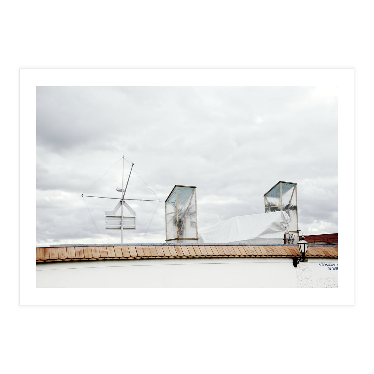 Palm tree waiting for summer (Print Only)