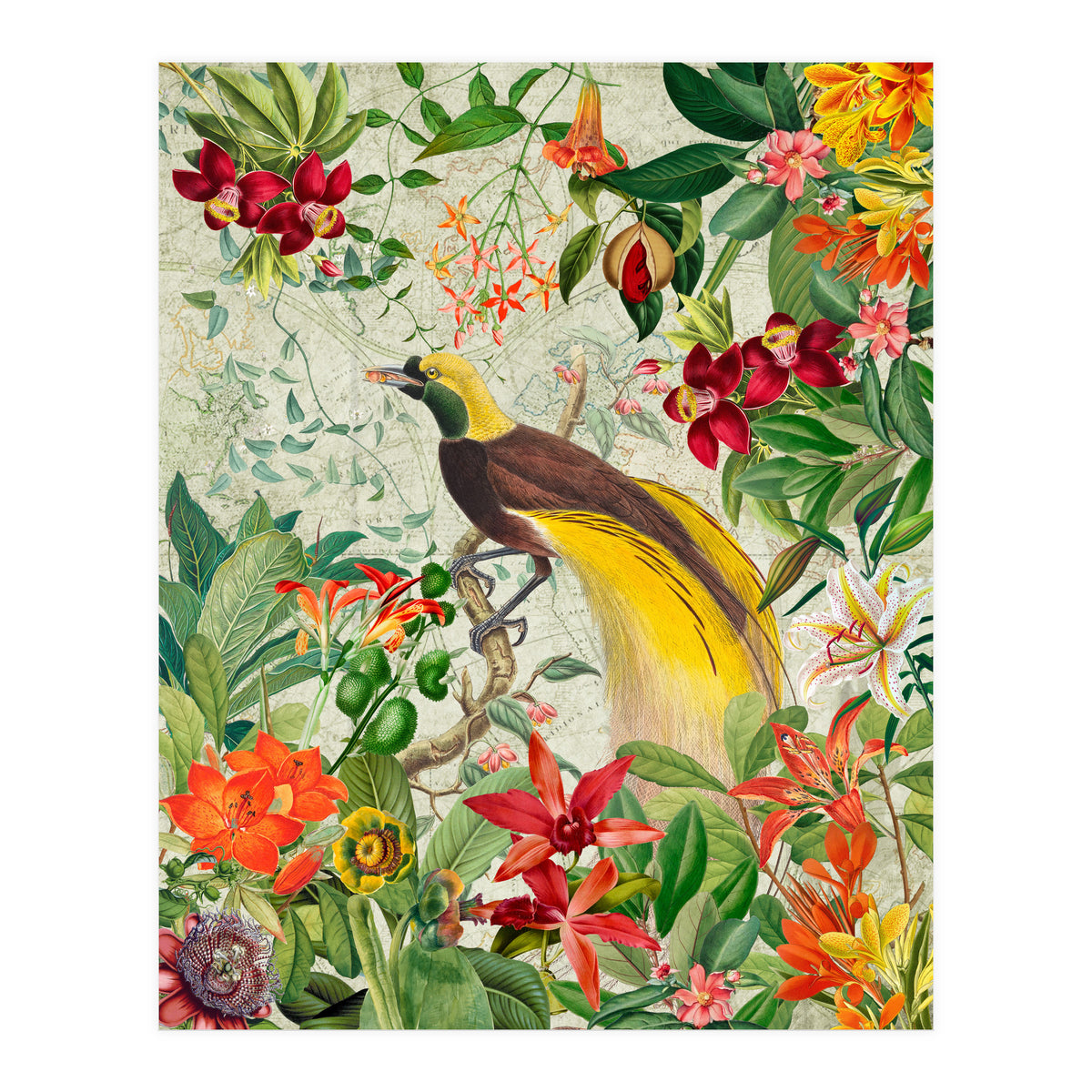 Bird of paradise vintage jungle  (Print Only)