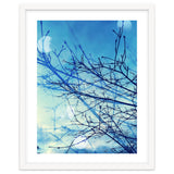 Winter thumbnail