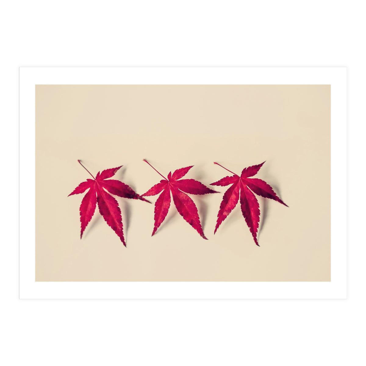 Dancing Leaves (Print Only)