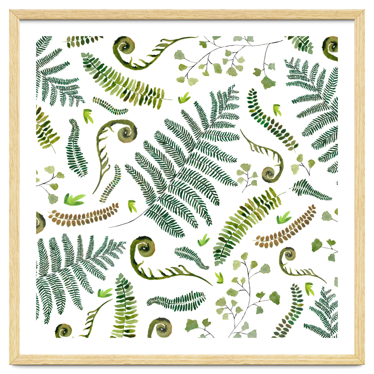 Spring Fern Pattern