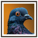 Close Up Of A Pigeon's Head And Neck thumbnail