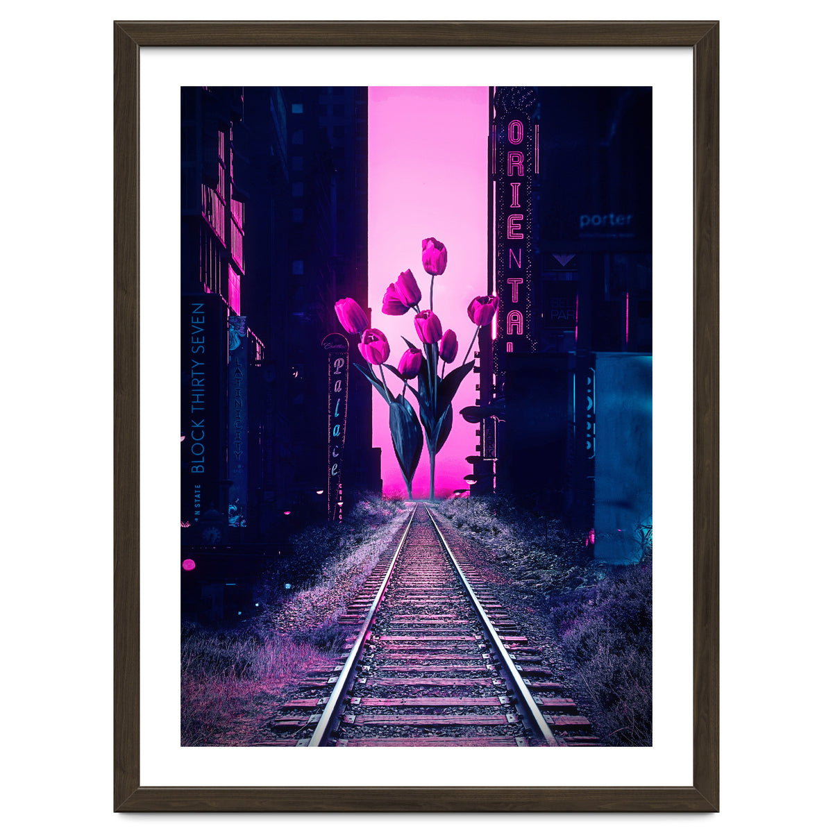 red tulips in the middle of the city