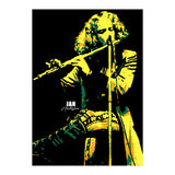 Ian Anderson Musician Legend (Print Only) thumbnail
