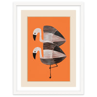Tangerine Flamingos