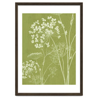Wildflowers III