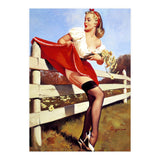 Pinup Girl Stacked On The Farm Fance (Print Only) thumbnail