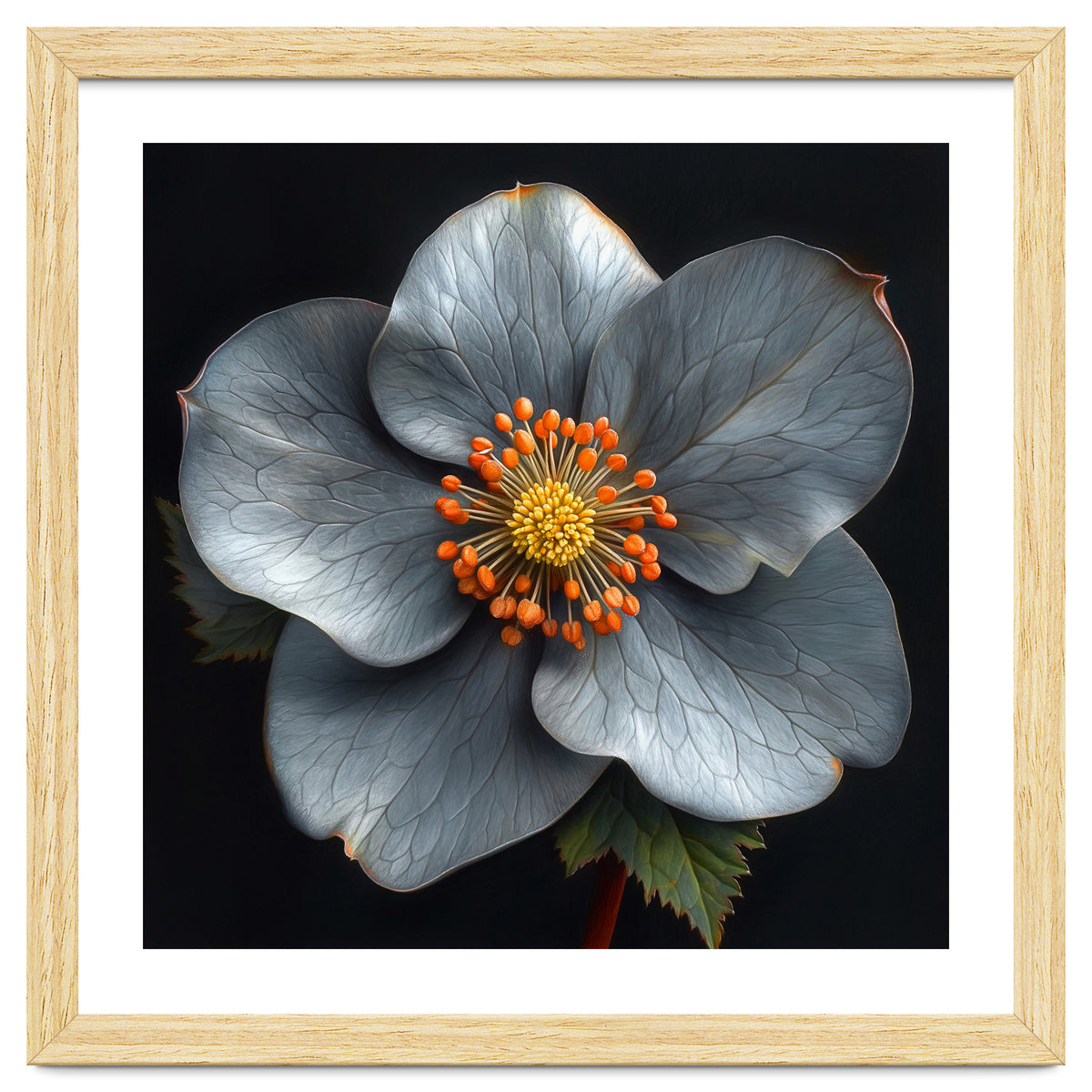 Hellebore | Silver Magic
