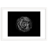 Backyard Flowers In Black And White No 72 with Border thumbnail