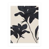 Shadowed Blooms (Print Only) thumbnail