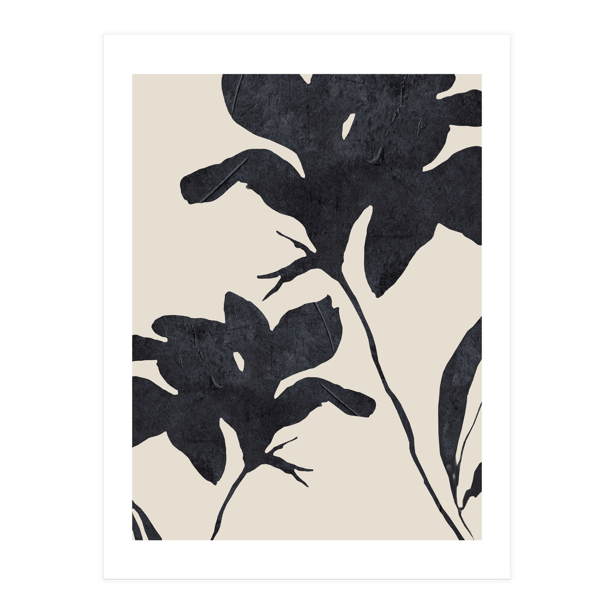 Shadowed Blooms (Print Only)