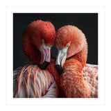 Close Up Of Two Flamingos Nuzzling Together (Print Only) thumbnail