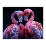 Two Pink Flamingos Forming A Heart Shape (Print Only) thumbnail