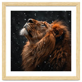 Lion Looking Up In The Snow Majestic thumbnail
