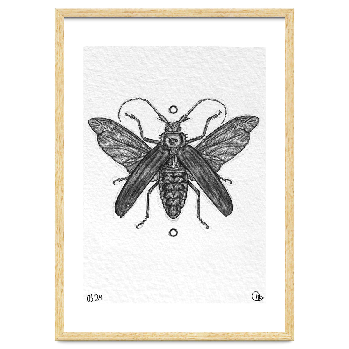 Riesen Longhorn Käfer