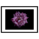 Backyard Flowers No 111 Color Version thumbnail