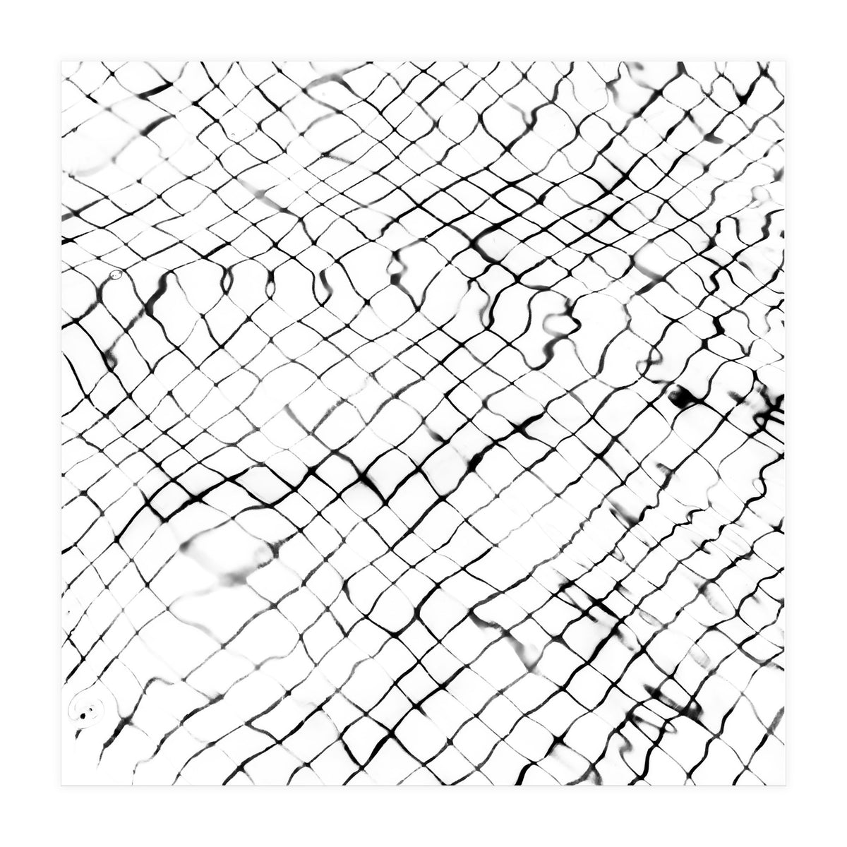 Reflection (Print Only)