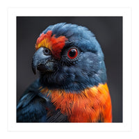 Close Up Portrait Of A Colorful Parrot (Print Only)