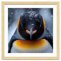 Close Up King Penguin In The Snow