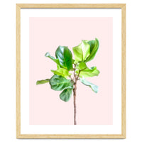 Intimate Energy, Blush Pastel Botanical Plant Minimal Painting, Pink Green Nature