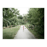 Entrance to the green park (Print Only) thumbnail