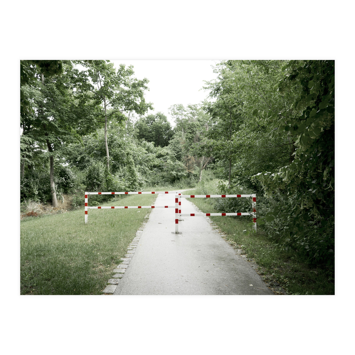 Entrance to the green park (Print Only)