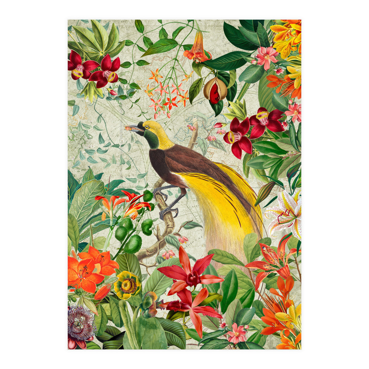 Bird of paradise vintage jungle  (Print Only)