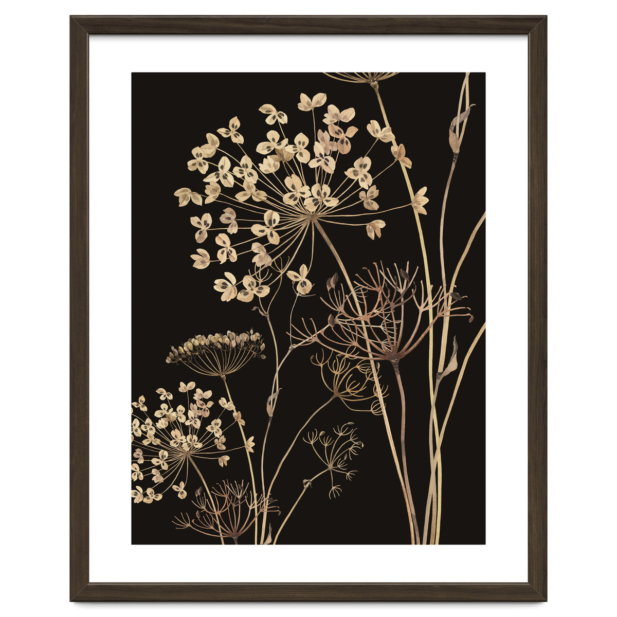 Wildflowers I