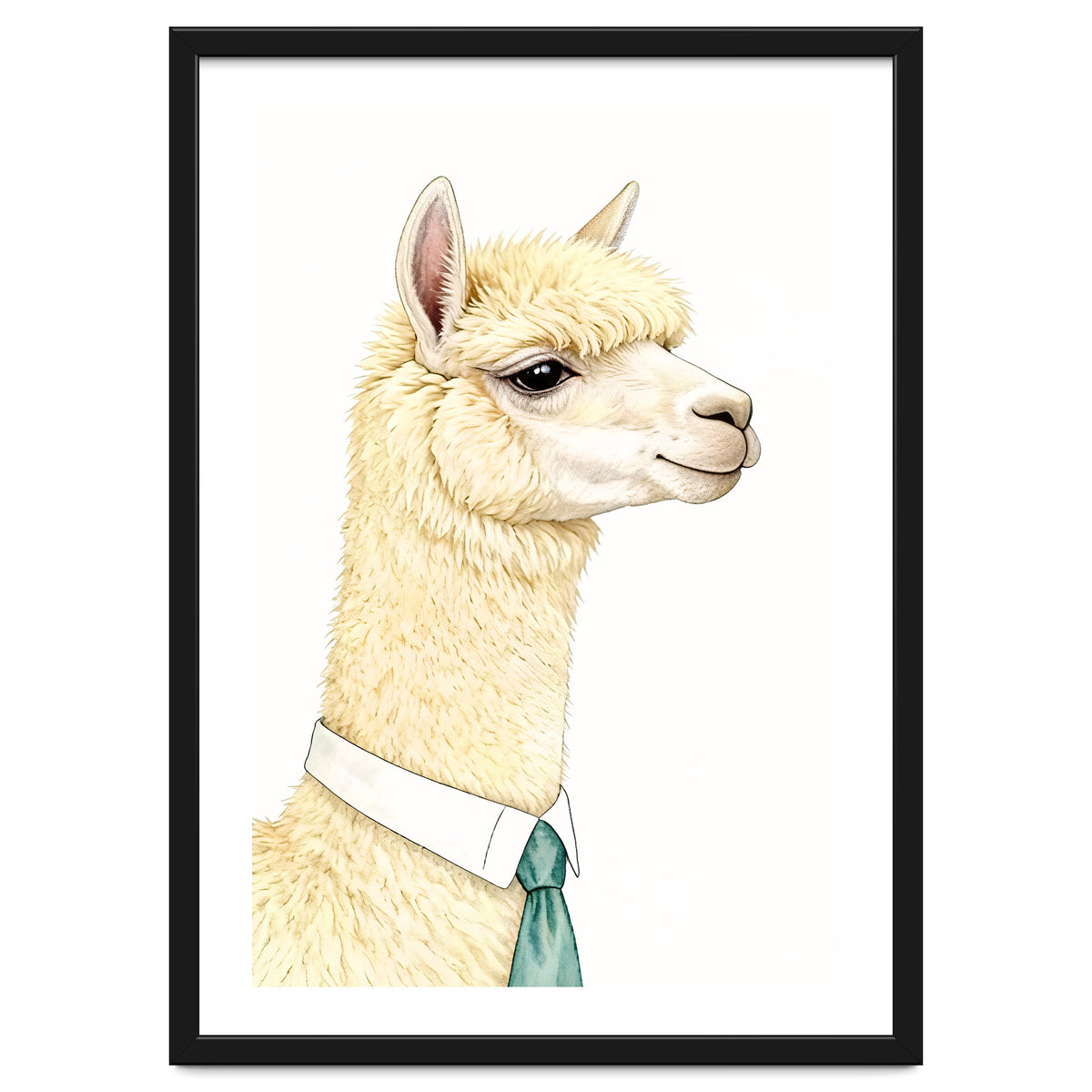 Alpaca