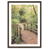 Path To The Bridge thumbnail