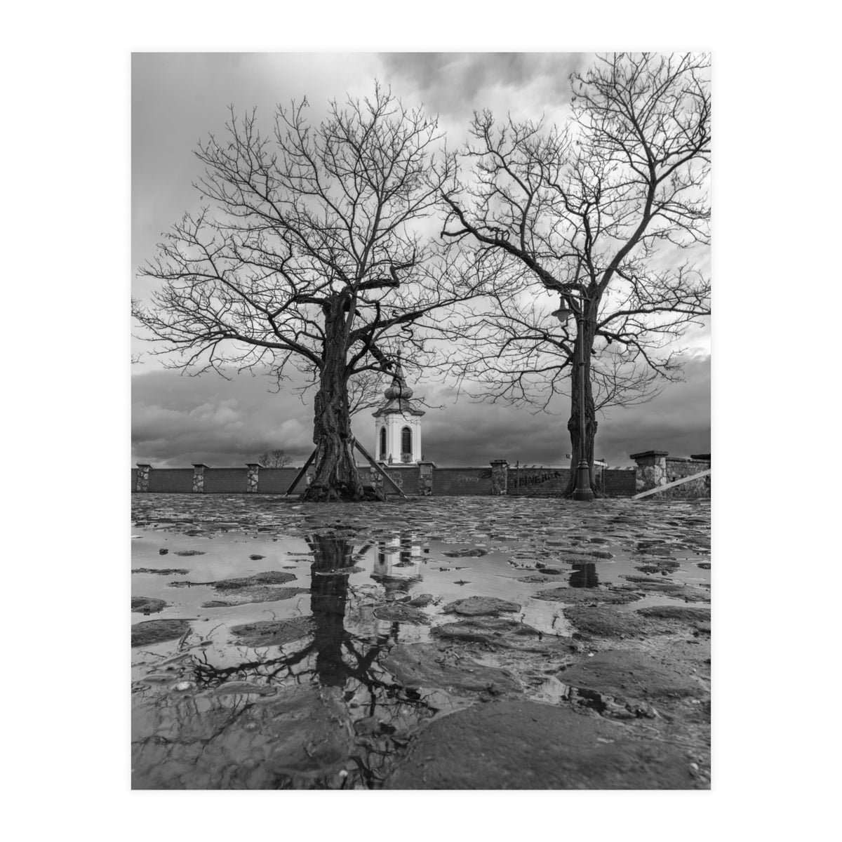 Churches and trees (Print Only)