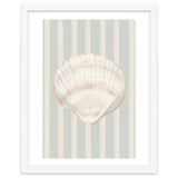 Sea shell thumbnail