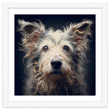 Old Dog 07 thumbnail