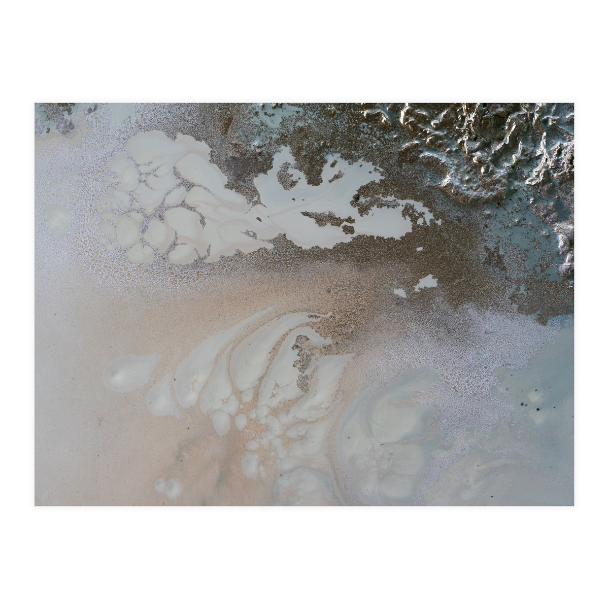 Life Unfolding (Print Only)