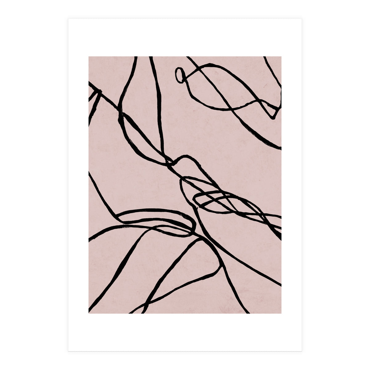 Lines on Rose (Print Only)