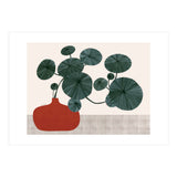 Stephonia Erecta plant (Print Only) thumbnail