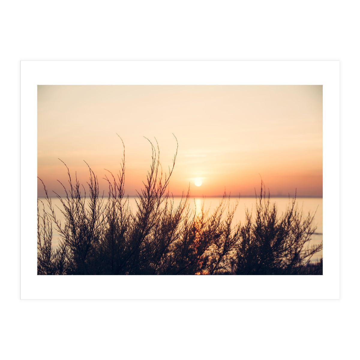 Orange Heatwave 2 (Print Only)