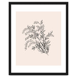 Acacia Botanical illustration thumbnail