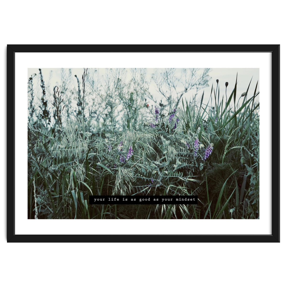 Photography - Summer Garden