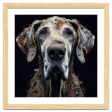 Old Dog 04 thumbnail