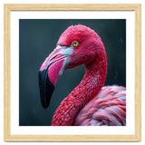 Close Up Pink Flamingo In Rain Drops thumbnail