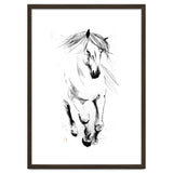 Runninh Ghorse In Water thumbnail