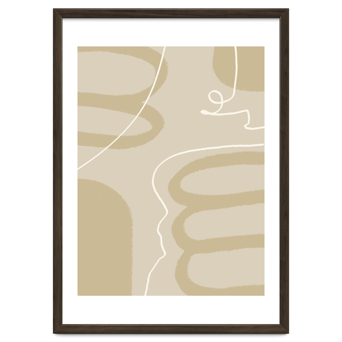 Harmony of Lines and Shapes