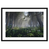 Art In The Forest thumbnail