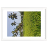 The Paddy Fields of Kerala, South India thumbnail