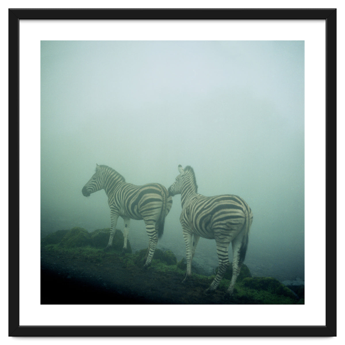 Silence of breath - 14