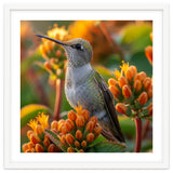 Hummingbird Perched On Orange Flowers thumbnail