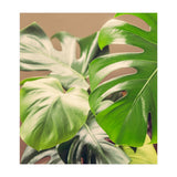 Monstera Mix (Print Only) thumbnail