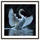 Majestic White Swan Spreading Wings On Water thumbnail