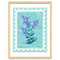 The Buckinghamshire Chiltern Gentian Postage Stamp